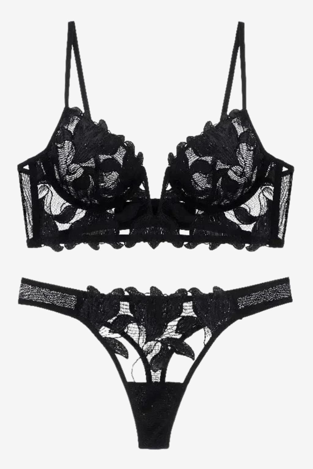 Women’s Lace Lingerie Set 2-Piece Bra and Briefs