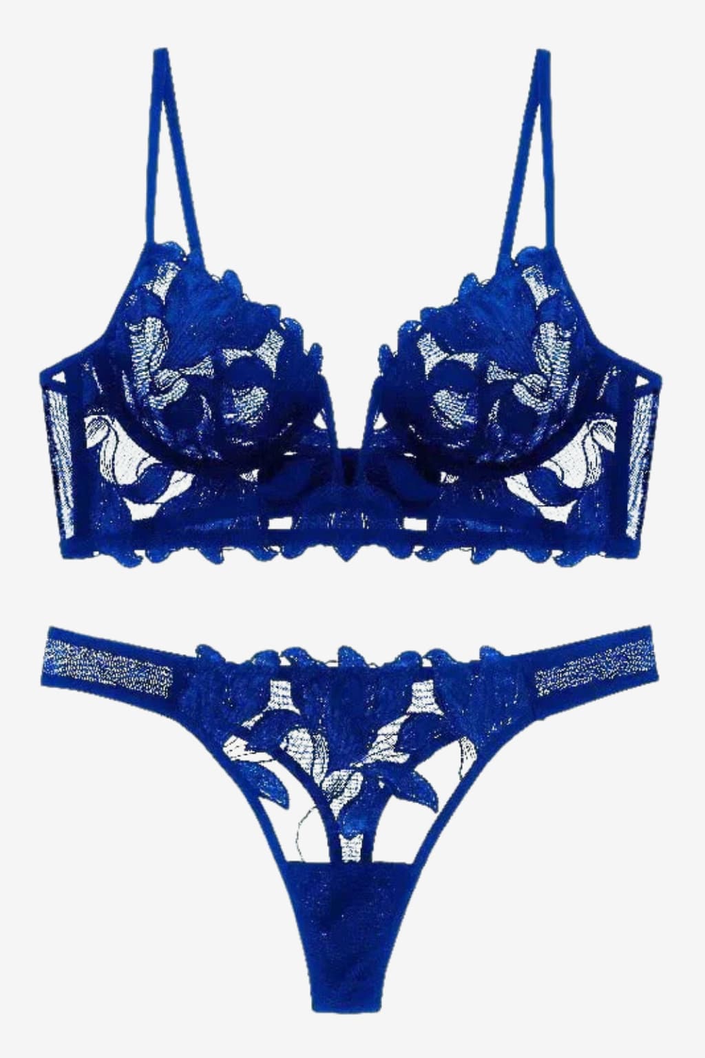 Women’s Lace Lingerie Set 2-Piece Bra and Briefs